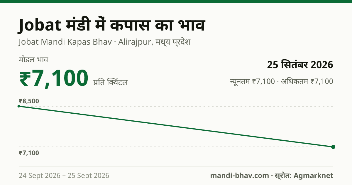 Jobat मंडी में कपास का भाव 25 सितंबर 2026: मोडल ₹7,100 प्रति क्विंटल, भाव के रुझान का चार्ट