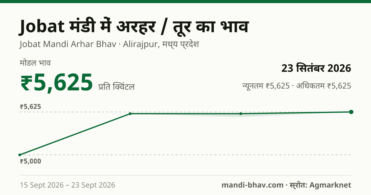 Jobat मंडी में अरहर / तूर का भाव 23 सितंबर 2026: मोडल ₹5,625 प्रति क्विंटल, भाव के रुझान का चार्ट