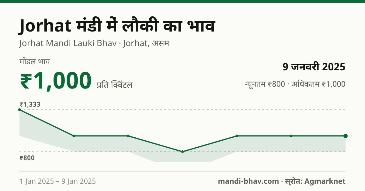 Jorhat मंडी में लौकी का भाव 9 जनवरी 2025: मोडल ₹1,000 प्रति क्विंटल, भाव के रुझान का चार्ट