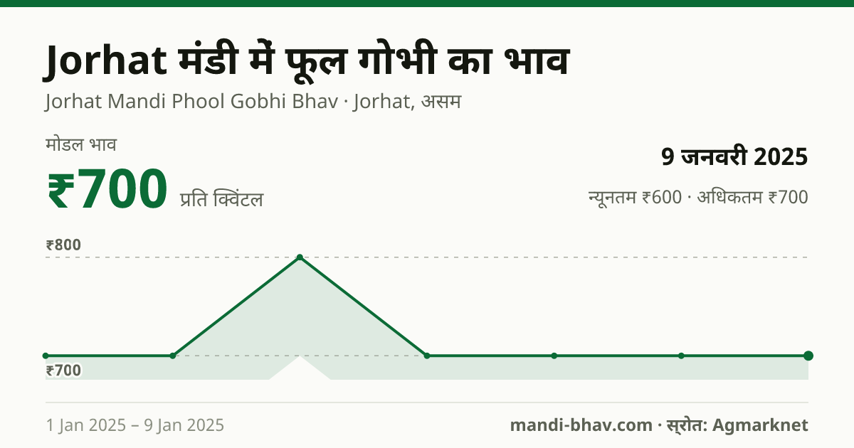 Jorhat मंडी में फूल गोभी का भाव 9 जनवरी 2025: मोडल ₹700 प्रति क्विंटल, भाव के रुझान का चार्ट
