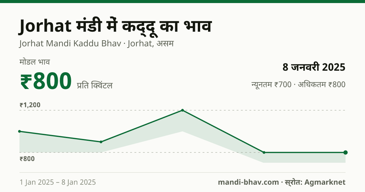 Jorhat मंडी में कद्दू का भाव 8 जनवरी 2025: मोडल ₹800 प्रति क्विंटल, भाव के रुझान का चार्ट