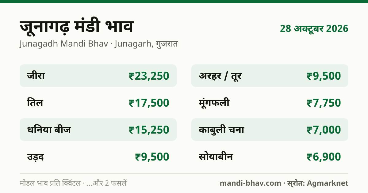जूनागढ़ मंडी भाव 28 अक्टूबर 2026: फसलवार मोडल रेट प्रति क्विंटल