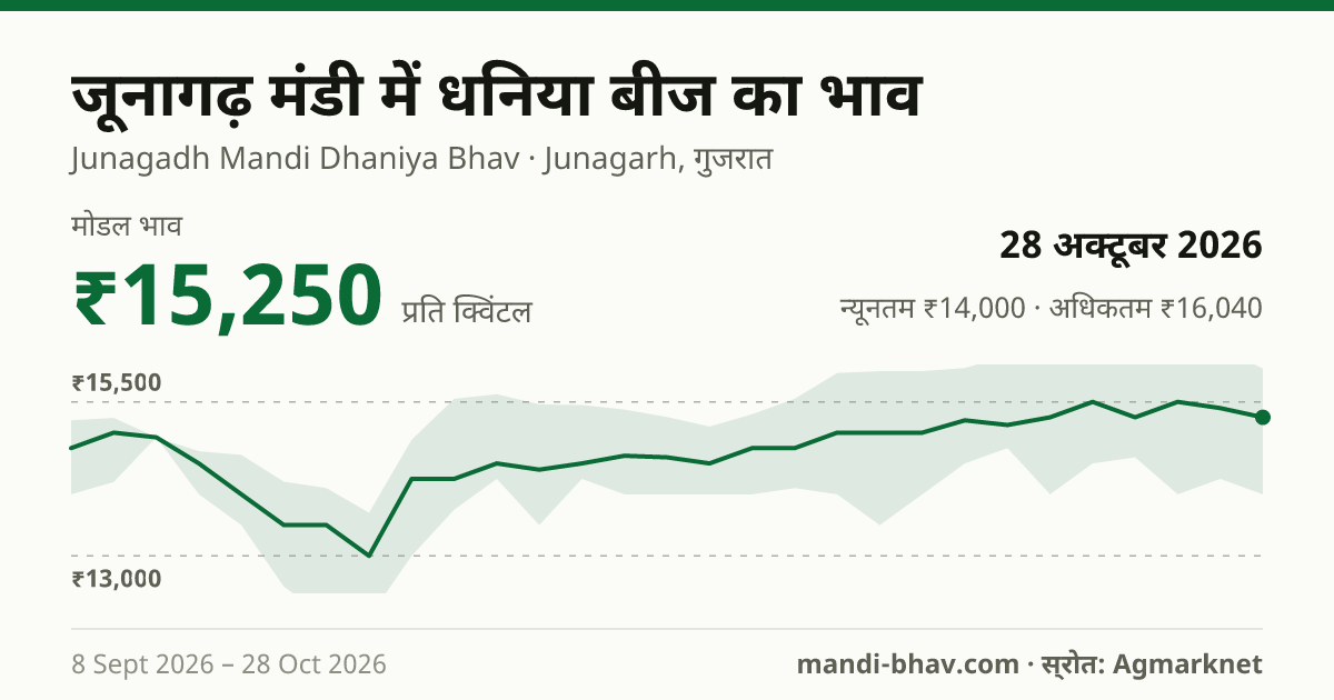 जूनागढ़ मंडी में धनिया बीज का भाव 28 अक्टूबर 2026: मोडल ₹15,250 प्रति क्विंटल, भाव के रुझान का चार्ट