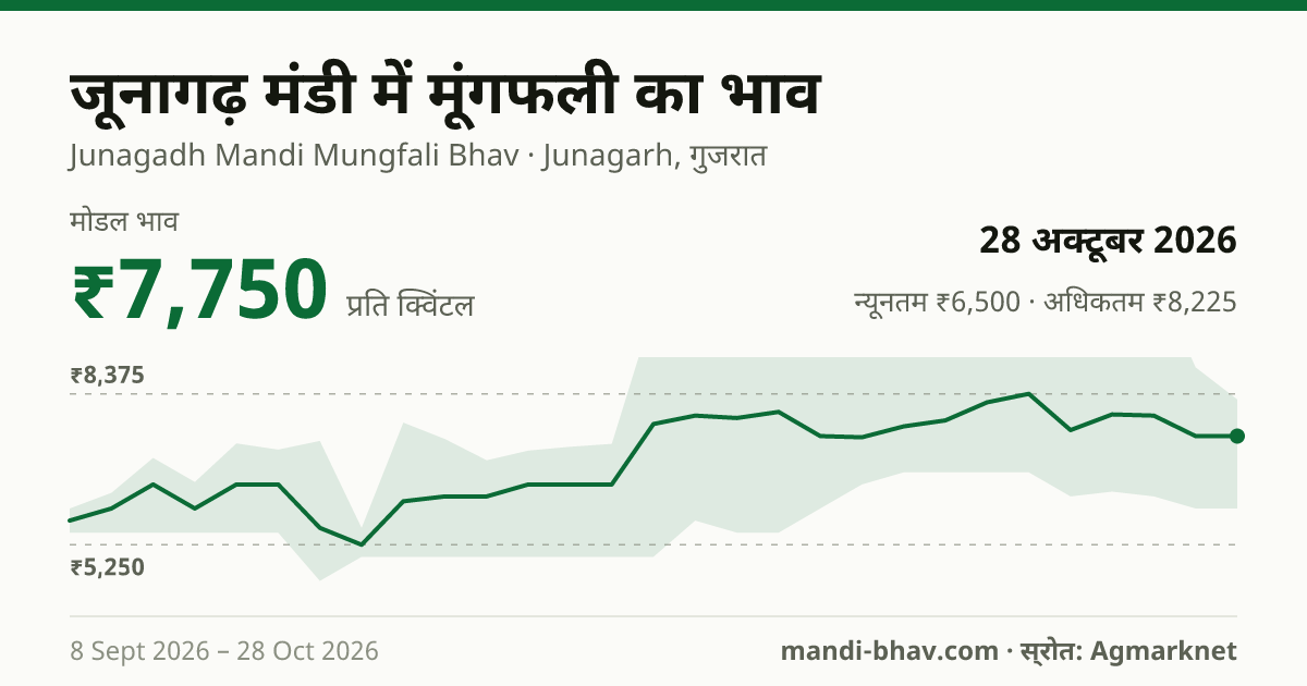 जूनागढ़ मंडी में मूंगफली का भाव 28 अक्टूबर 2026: मोडल ₹7,750 प्रति क्विंटल, भाव के रुझान का चार्ट