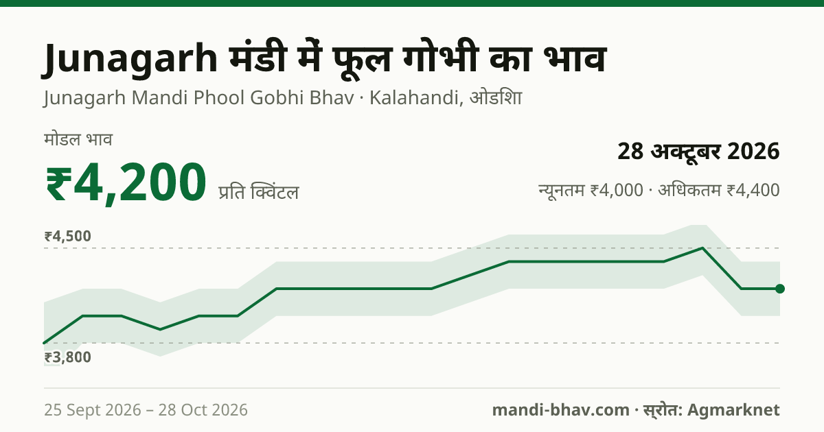 Junagarh मंडी में फूल गोभी का भाव 28 अक्टूबर 2026: मोडल ₹4,200 प्रति क्विंटल, भाव के रुझान का चार्ट