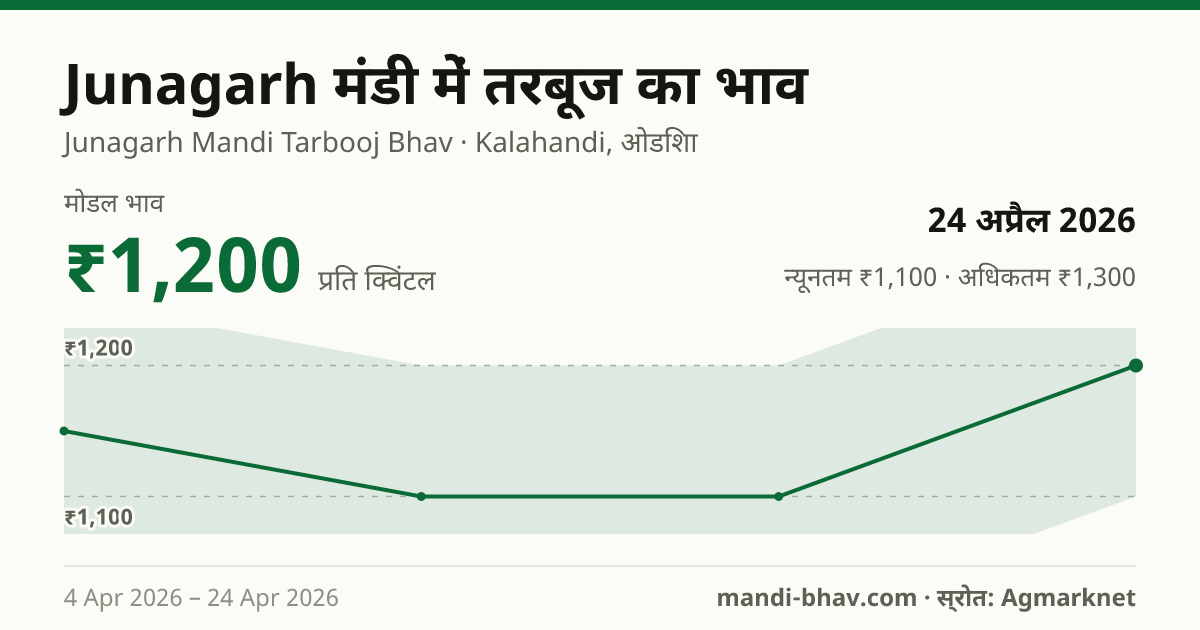 Junagarh मंडी में तरबूज का भाव 24 अप्रैल 2026: मोडल ₹1,200 प्रति क्विंटल, भाव के रुझान का चार्ट