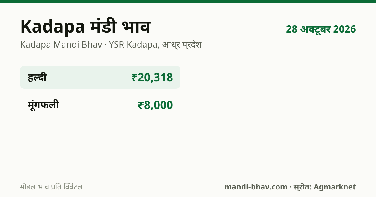 Kadapa मंडी भाव 28 अक्टूबर 2026: फसलवार मोडल रेट प्रति क्विंटल