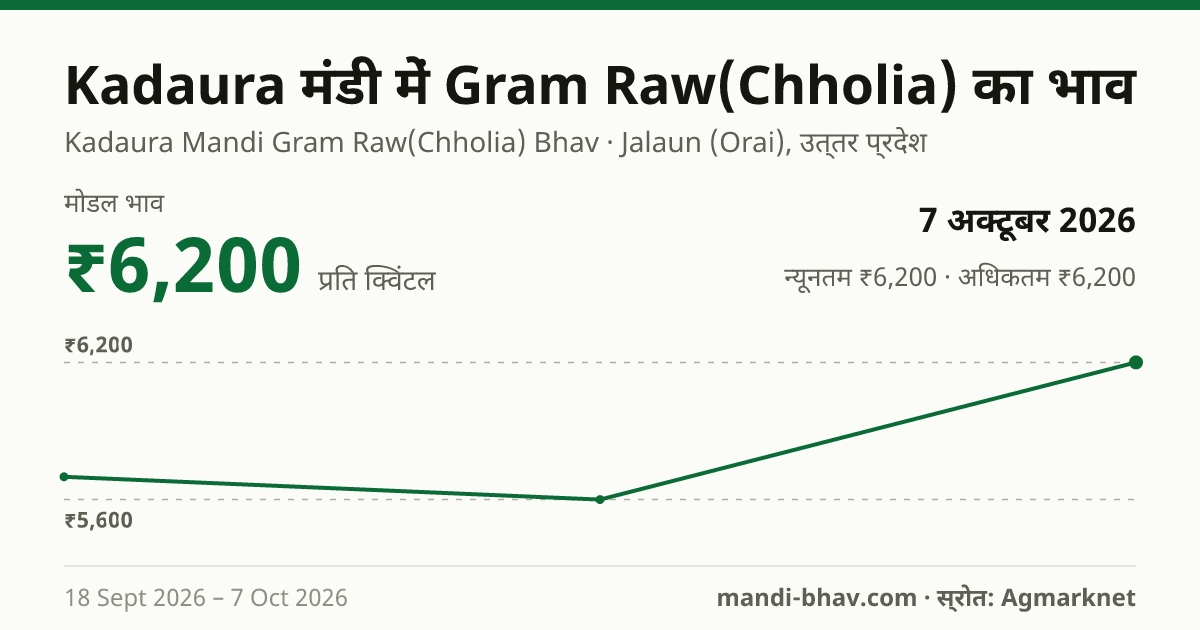 Kadaura मंडी में Gram Raw(Chholia) का भाव 7 अक्टूबर 2026: मोडल ₹6,200 प्रति क्विंटल, भाव के रुझान का चार्ट