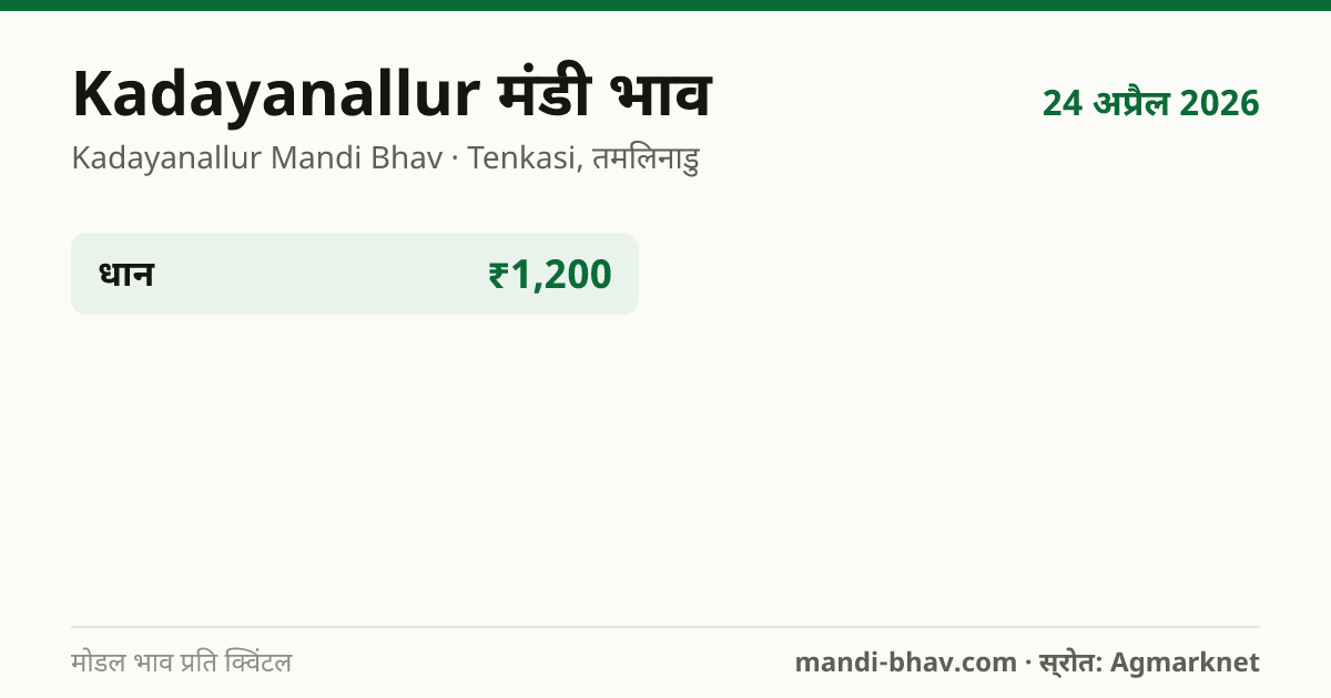Kadayanallur मंडी भाव 24 अप्रैल 2026: फसलवार मोडल रेट प्रति क्विंटल
