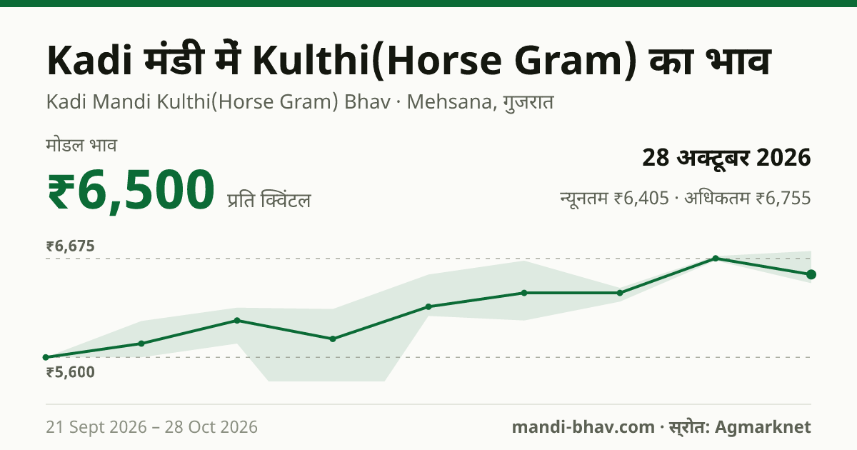 Kadi मंडी में Kulthi(Horse Gram) का भाव 28 अक्टूबर 2026: मोडल ₹6,500 प्रति क्विंटल, भाव के रुझान का चार्ट
