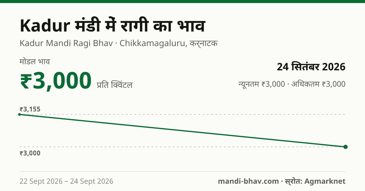 Kadur मंडी में रागी का भाव 24 सितंबर 2026: मोडल ₹3,000 प्रति क्विंटल, भाव के रुझान का चार्ट