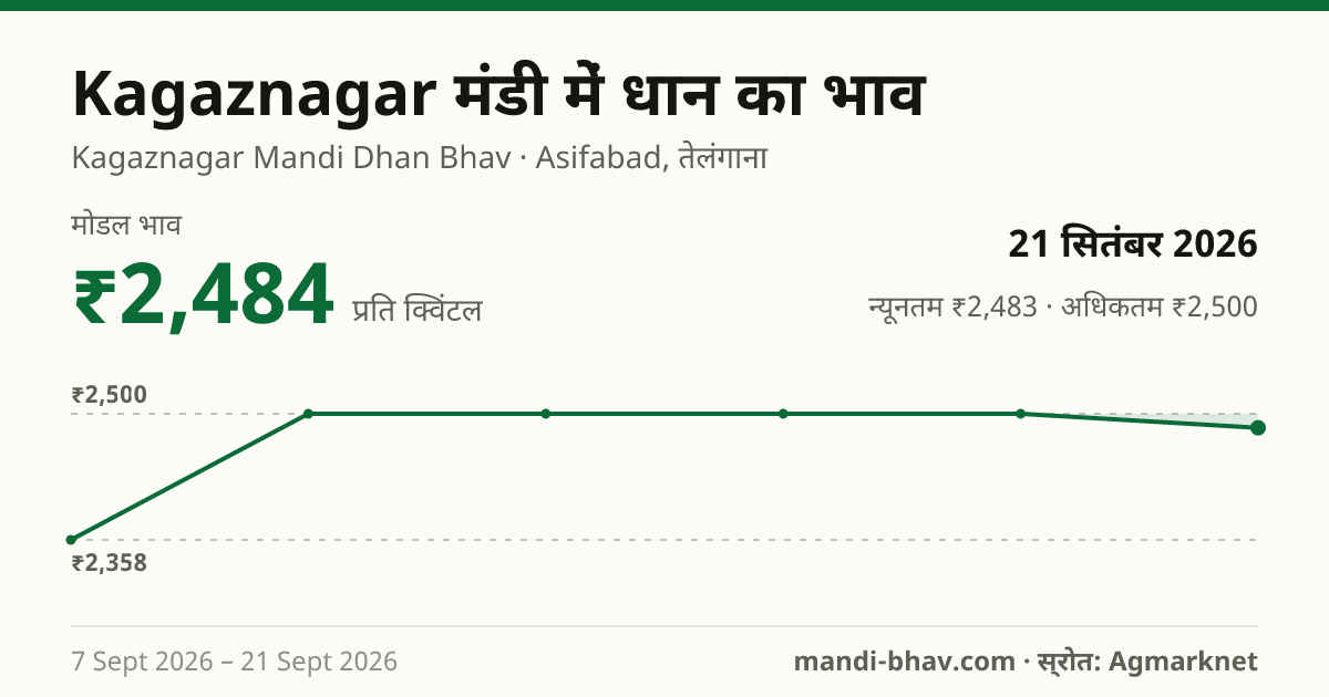 Kagaznagar मंडी में धान का भाव 21 सितंबर 2026: मोडल ₹2,484 प्रति क्विंटल, भाव के रुझान का चार्ट