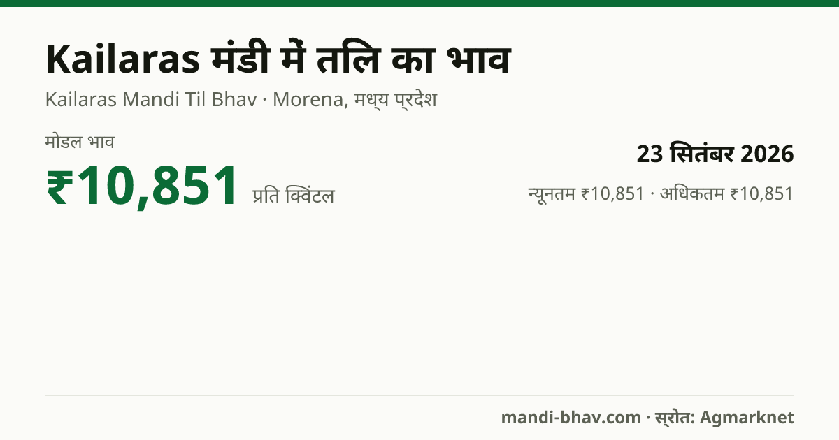 Kailaras मंडी में तिल का भाव 23 सितंबर 2026: मोडल ₹10,851 प्रति क्विंटल, भाव के रुझान का चार्ट