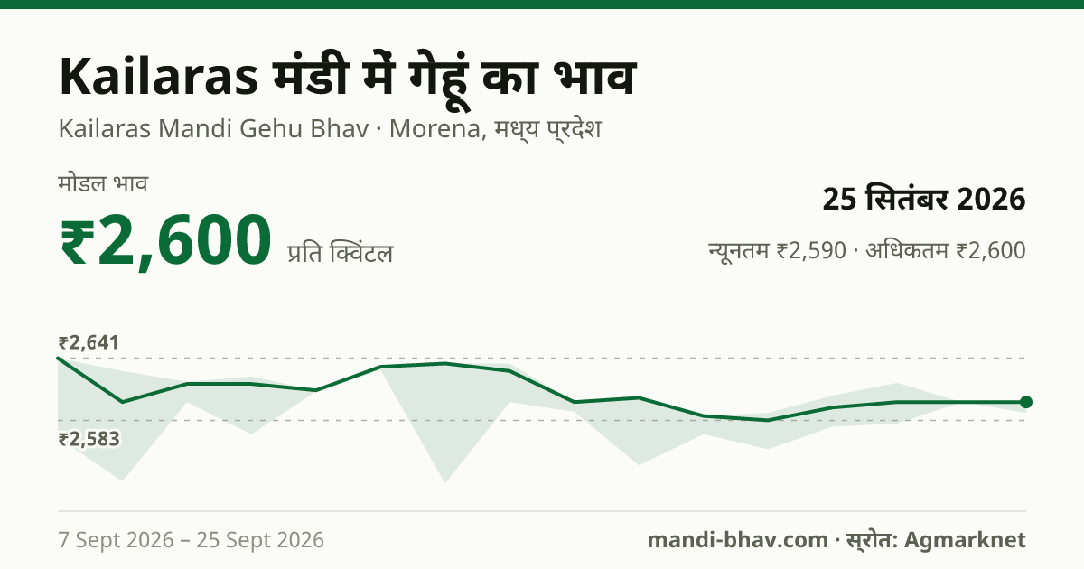 Kailaras मंडी में गेहूं का भाव 25 सितंबर 2026: मोडल ₹2,600 प्रति क्विंटल, भाव के रुझान का चार्ट