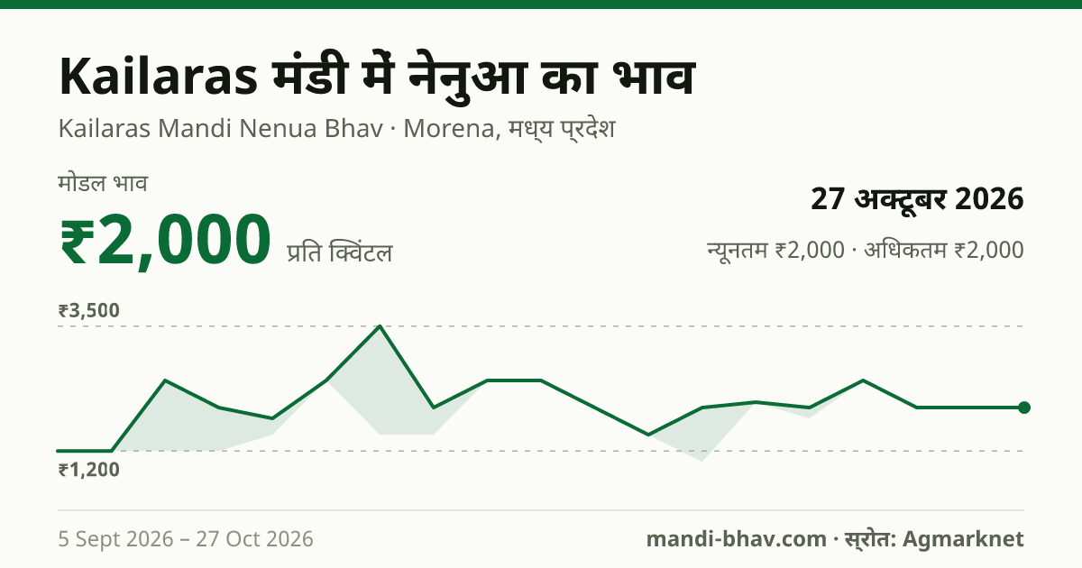 Kailaras मंडी में नेनुआ का भाव 27 अक्टूबर 2026: मोडल ₹2,000 प्रति क्विंटल, भाव के रुझान का चार्ट