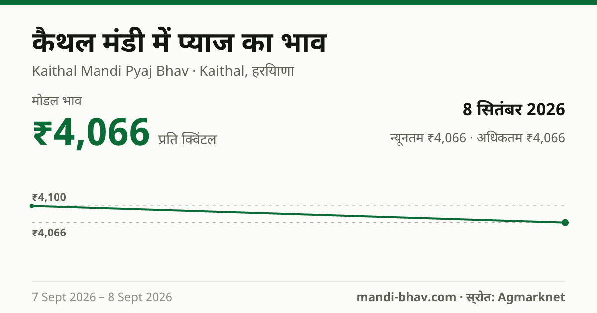 कैथल मंडी में प्याज का भाव 8 सितंबर 2026: मोडल ₹4,066 प्रति क्विंटल, भाव के रुझान का चार्ट