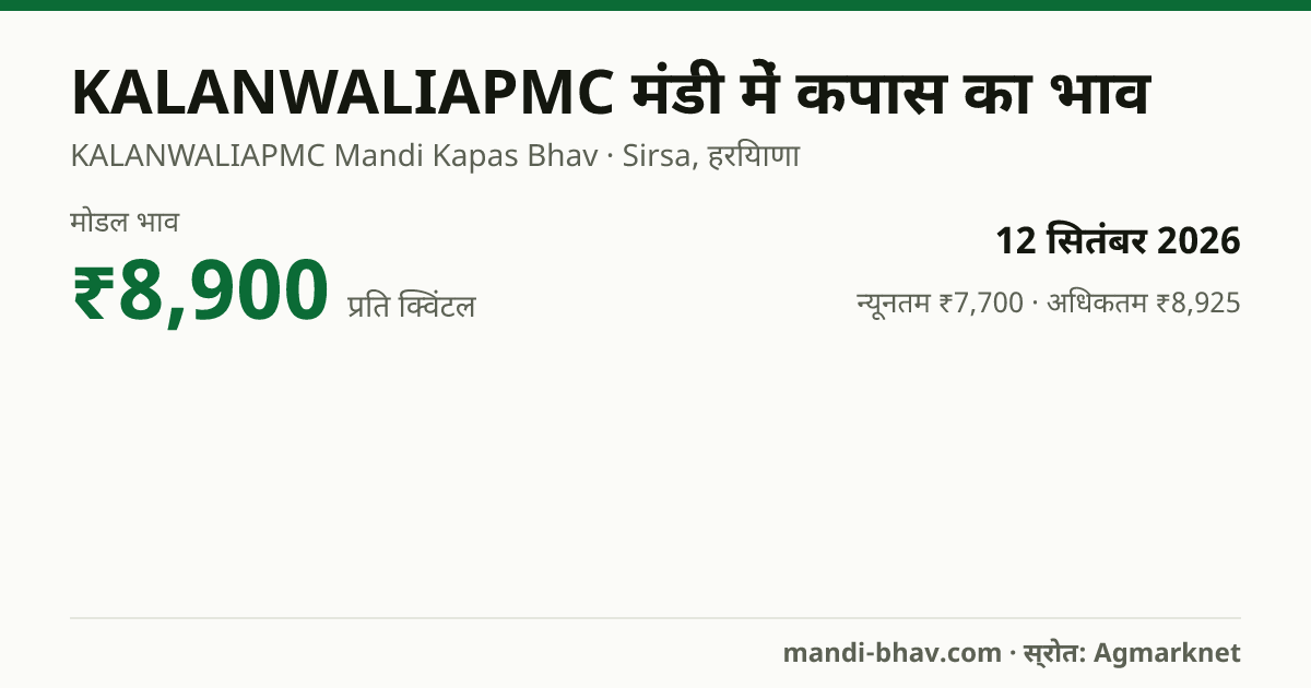 KALANWALIAPMC मंडी में कपास का भाव 12 सितंबर 2026: मोडल ₹8,900 प्रति क्विंटल, भाव के रुझान का चार्ट