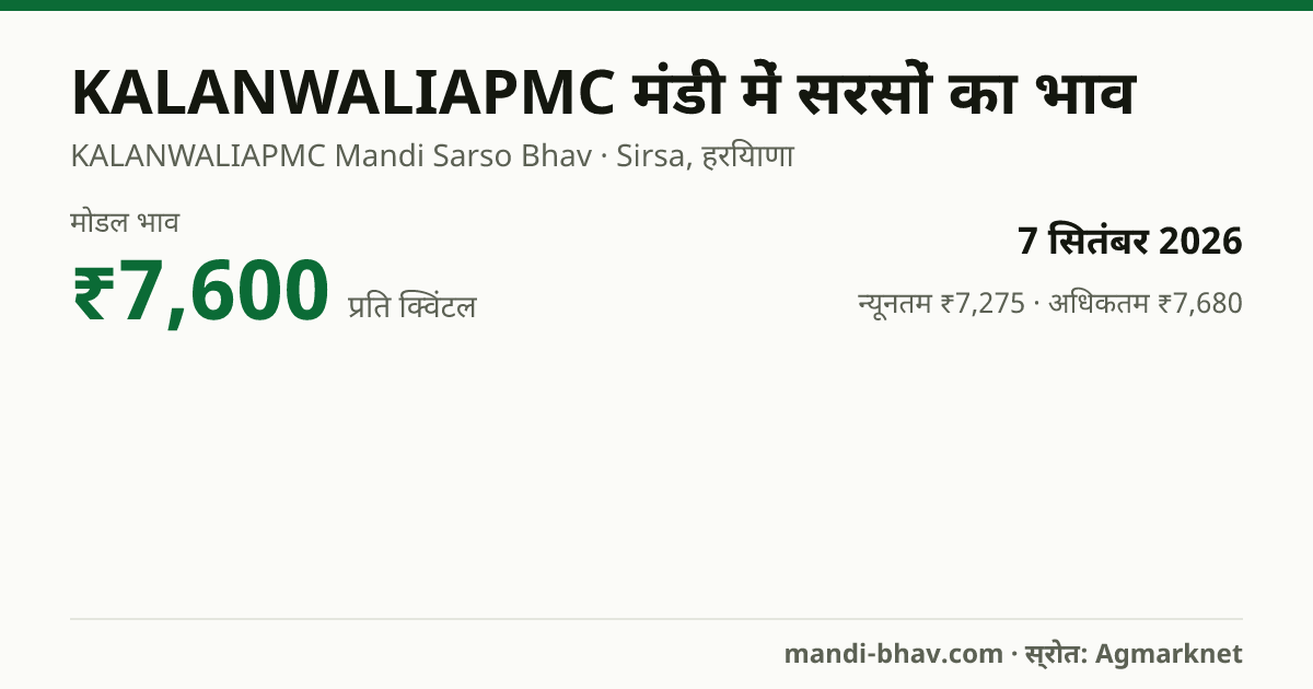 KALANWALIAPMC मंडी में सरसों का भाव 7 सितंबर 2026: मोडल ₹7,600 प्रति क्विंटल, भाव के रुझान का चार्ट