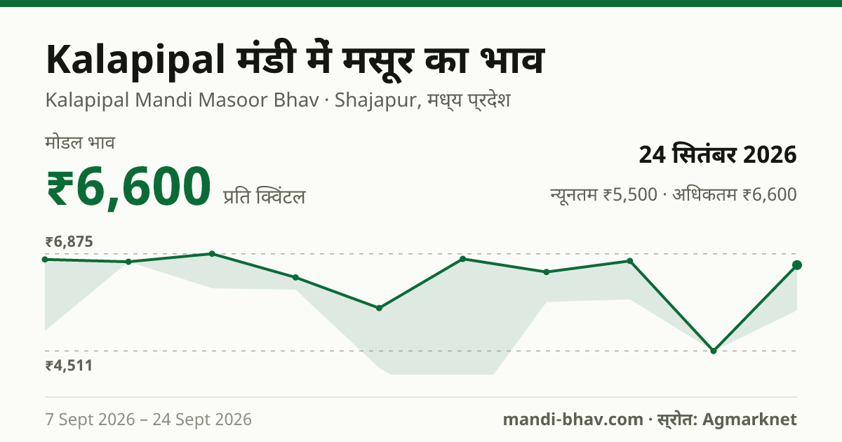 Kalapipal मंडी में मसूर का भाव 24 सितंबर 2026: मोडल ₹6,600 प्रति क्विंटल, भाव के रुझान का चार्ट