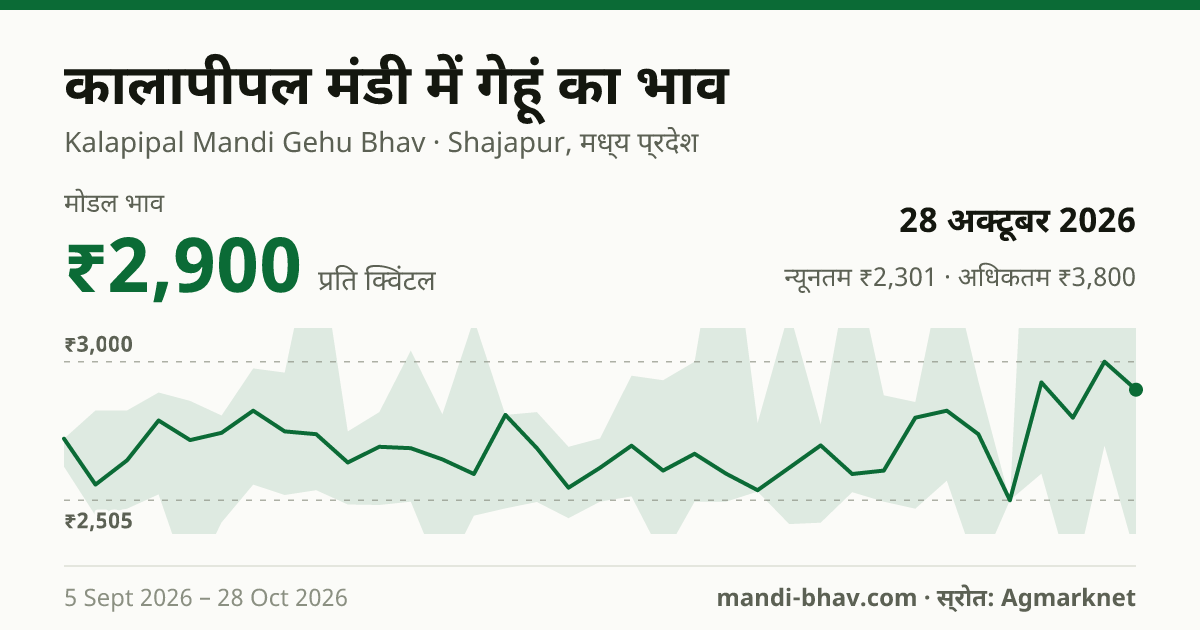 Kalapipal मंडी में गेहूं का भाव 28 अक्टूबर 2026: मोडल ₹2,900 प्रति क्विंटल, भाव के रुझान का चार्ट