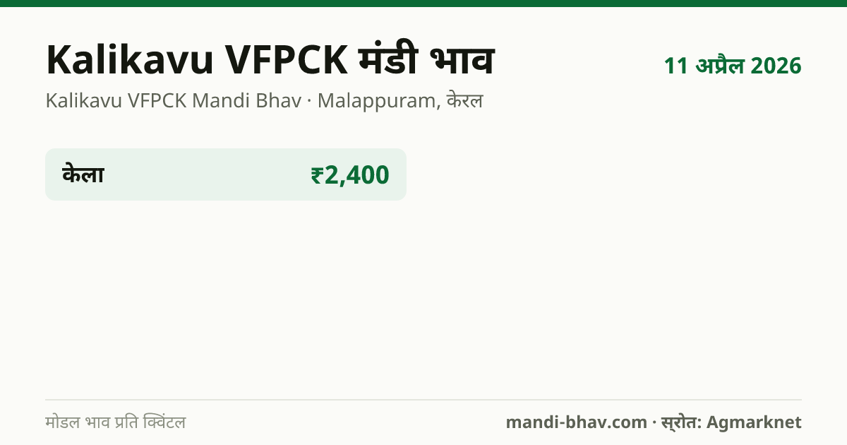 Kalikavu VFPCK मंडी भाव 11 अप्रैल 2026: फसलवार मोडल रेट प्रति क्विंटल