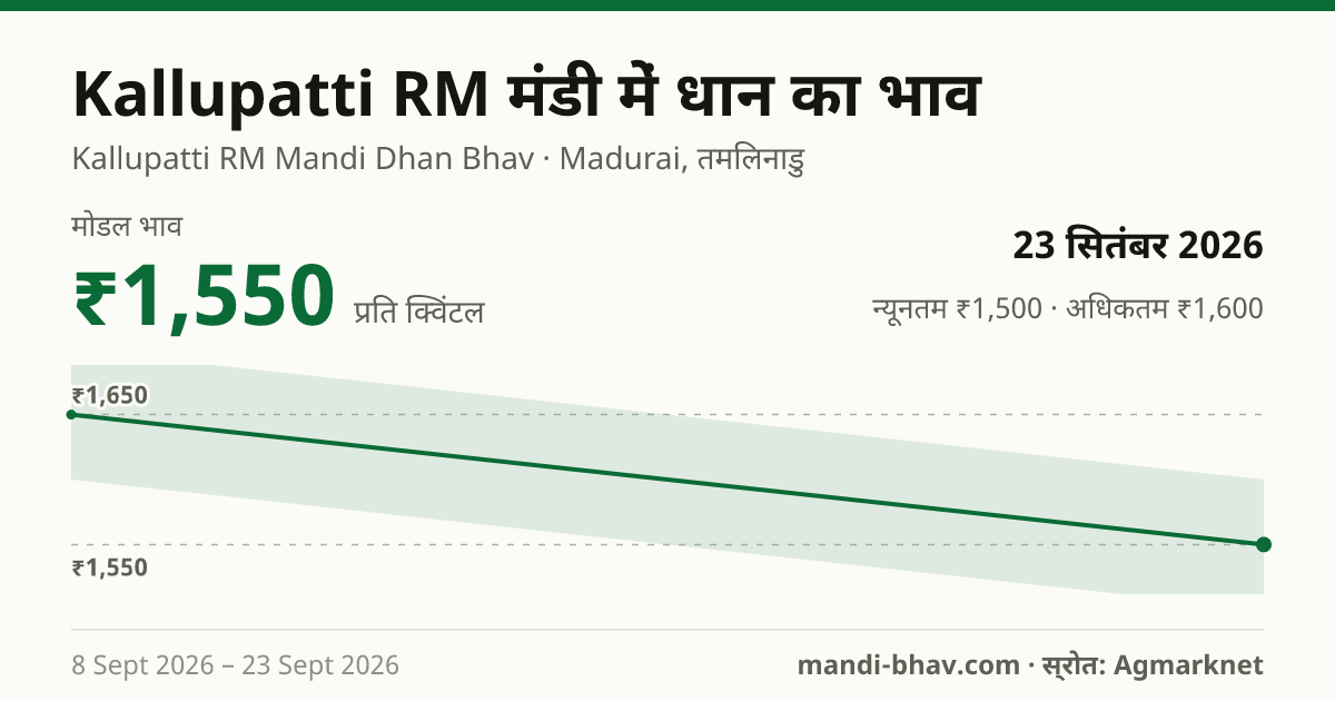 Kallupatti RM मंडी में धान का भाव 23 सितंबर 2026: मोडल ₹1,550 प्रति क्विंटल, भाव के रुझान का चार्ट