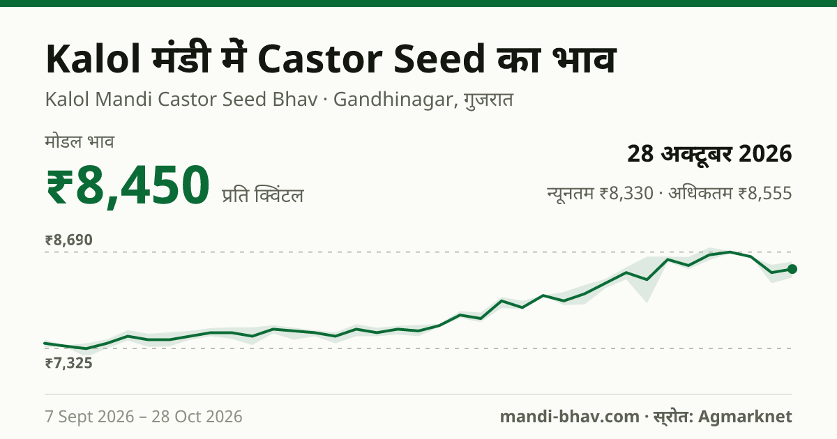Kalol मंडी में Castor Seed का भाव 28 अक्टूबर 2026: मोडल ₹8,450 प्रति क्विंटल, भाव के रुझान का चार्ट