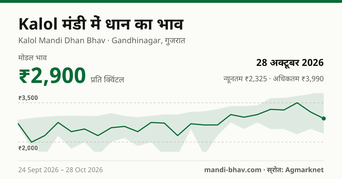 Kalol मंडी में धान का भाव 28 अक्टूबर 2026: मोडल ₹2,900 प्रति क्विंटल, भाव के रुझान का चार्ट
