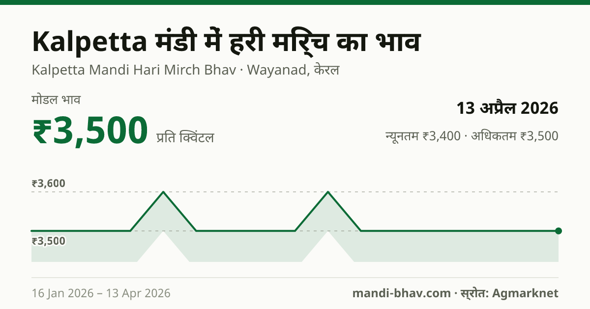 Kalpetta मंडी में हरी मिर्च का भाव 13 अप्रैल 2026: मोडल ₹3,500 प्रति क्विंटल, भाव के रुझान का चार्ट