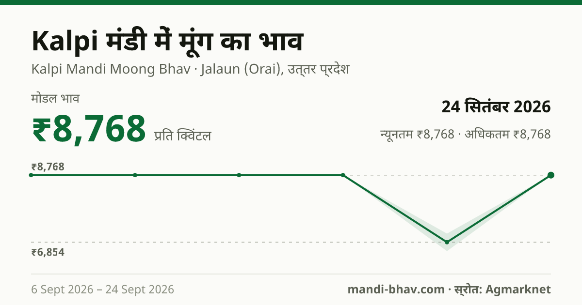 Kalpi मंडी में मूंग का भाव 24 सितंबर 2026: मोडल ₹8,768 प्रति क्विंटल, भाव के रुझान का चार्ट