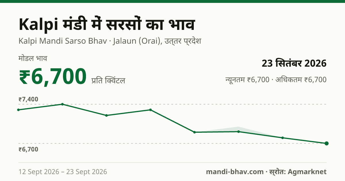 Kalpi मंडी में सरसों का भाव 23 सितंबर 2026: मोडल ₹6,700 प्रति क्विंटल, भाव के रुझान का चार्ट
