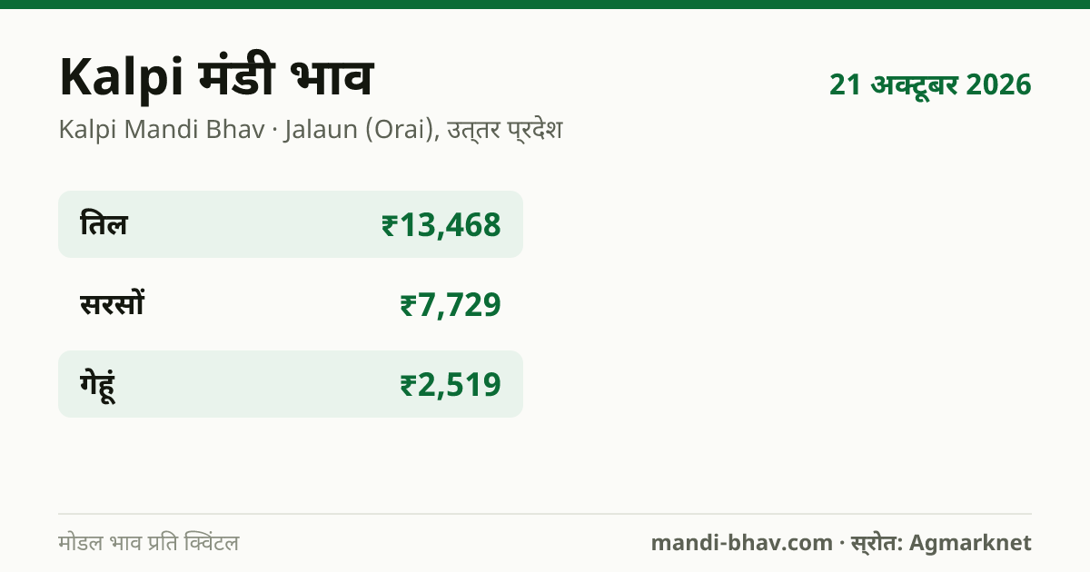 Kalpi मंडी भाव 21 अक्टूबर 2026: फसलवार मोडल रेट प्रति क्विंटल