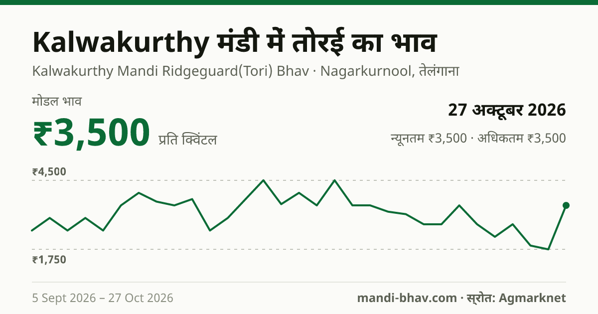 Kalwakurthy मंडी में तोरई का भाव 27 अक्टूबर 2026: मोडल ₹3,500 प्रति क्विंटल, भाव के रुझान का चार्ट