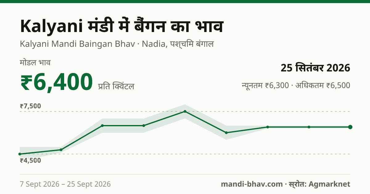 Kalyani मंडी में बैंगन का भाव 25 सितंबर 2026: मोडल ₹6,400 प्रति क्विंटल, भाव के रुझान का चार्ट