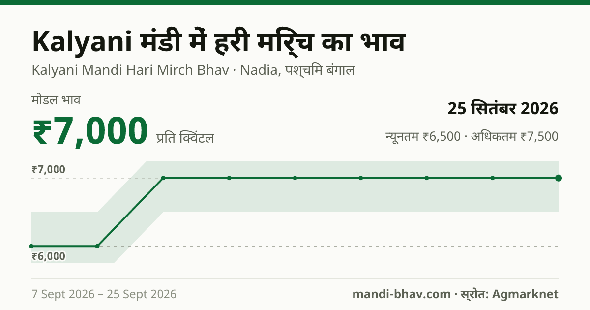 Kalyani मंडी में हरी मिर्च का भाव 25 सितंबर 2026: मोडल ₹7,000 प्रति क्विंटल, भाव के रुझान का चार्ट