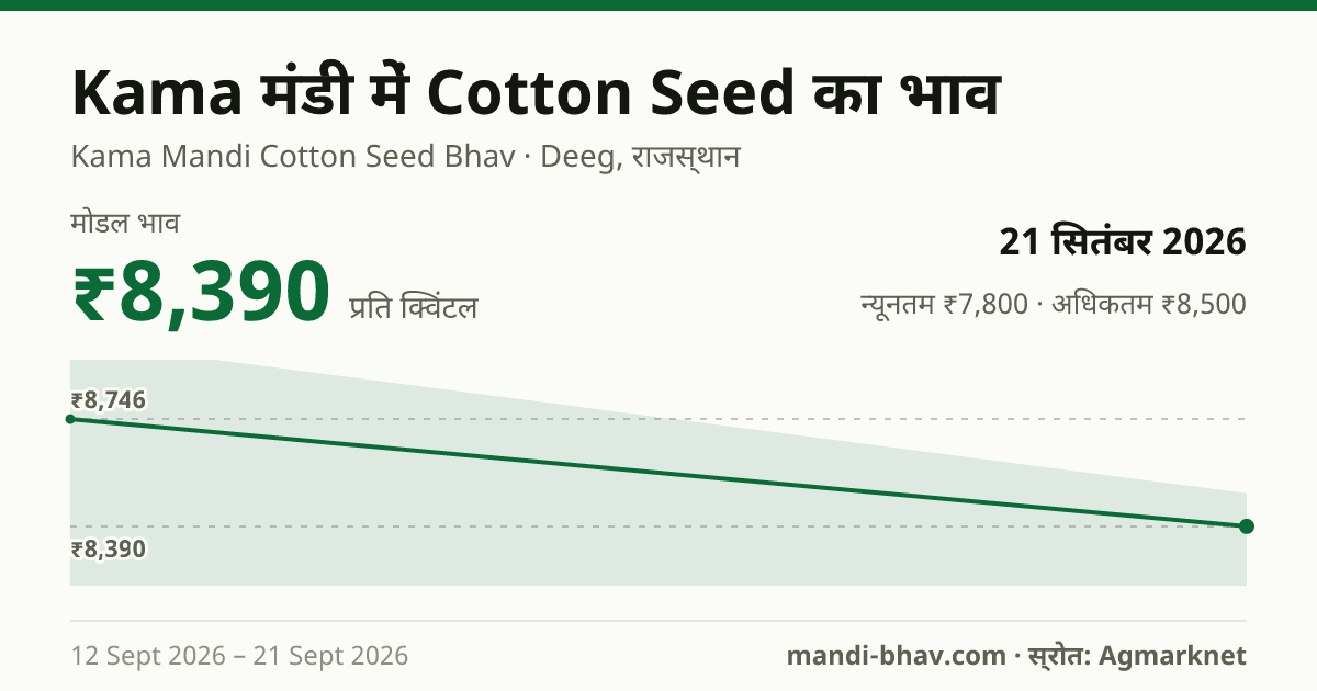 Kama मंडी में Cotton Seed का भाव 21 सितंबर 2026: मोडल ₹8,390 प्रति क्विंटल, भाव के रुझान का चार्ट