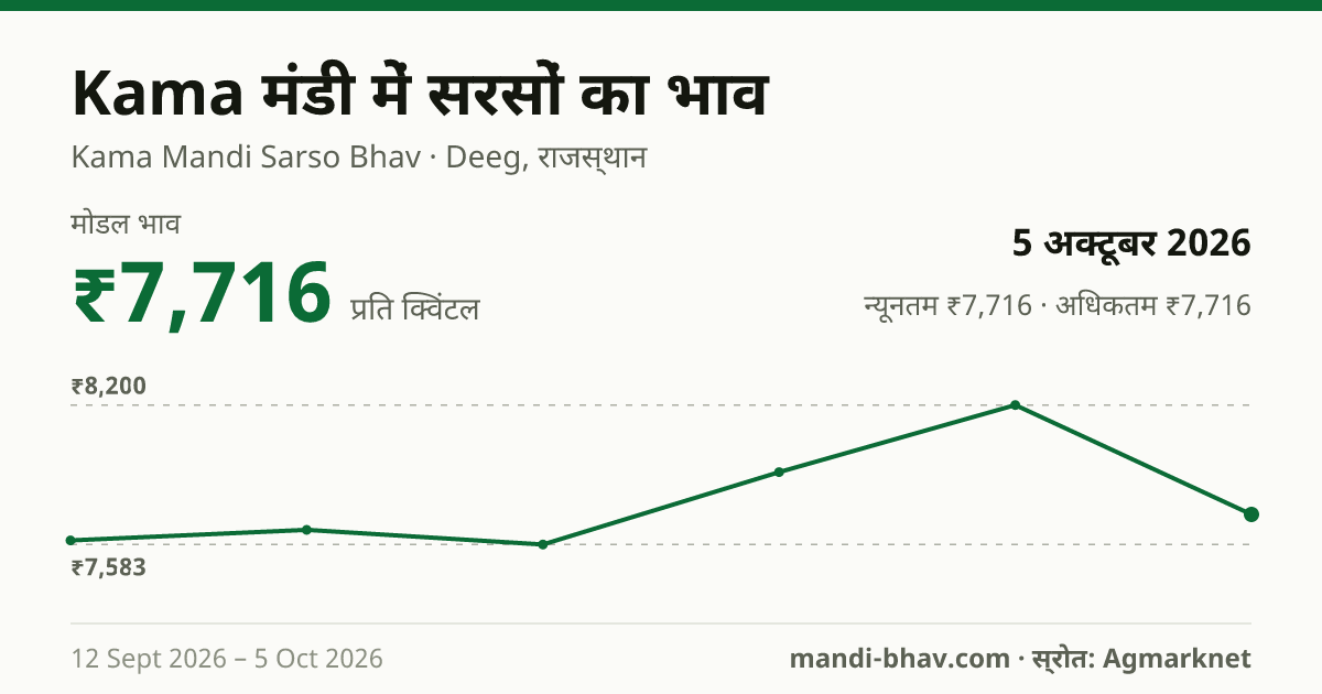 Kama मंडी में सरसों का भाव 5 अक्टूबर 2026: मोडल ₹7,716 प्रति क्विंटल, भाव के रुझान का चार्ट
