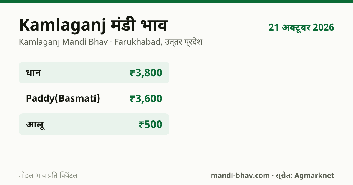 Kamlaganj मंडी भाव 21 अक्टूबर 2026: फसलवार मोडल रेट प्रति क्विंटल