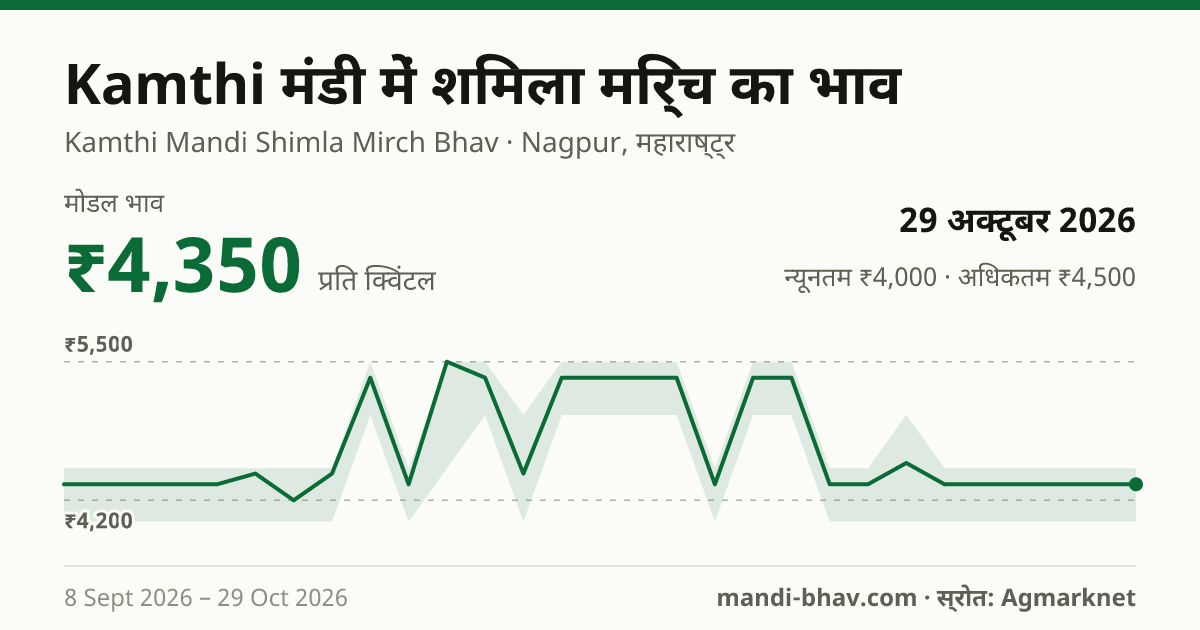 Kamthi मंडी में Chilly Capsicum का भाव 29 अक्टूबर 2026: मोडल ₹4,350 प्रति क्विंटल, भाव के रुझान का चार्ट