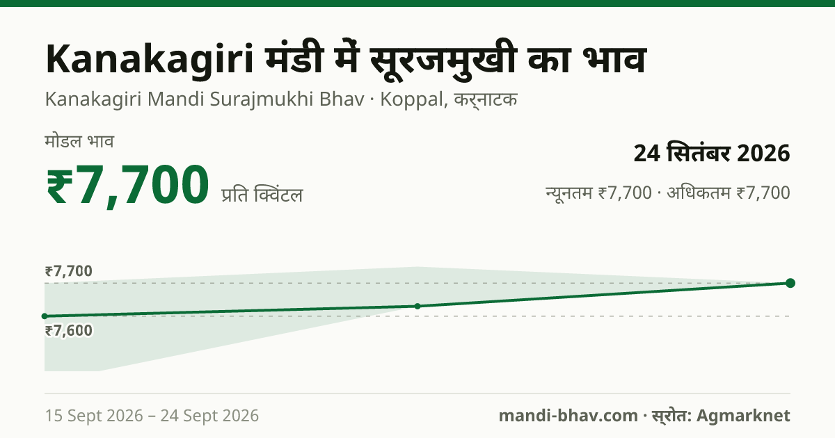 Kanakagiri मंडी में सूरजमुखी का भाव 24 सितंबर 2026: मोडल ₹7,700 प्रति क्विंटल, भाव के रुझान का चार्ट