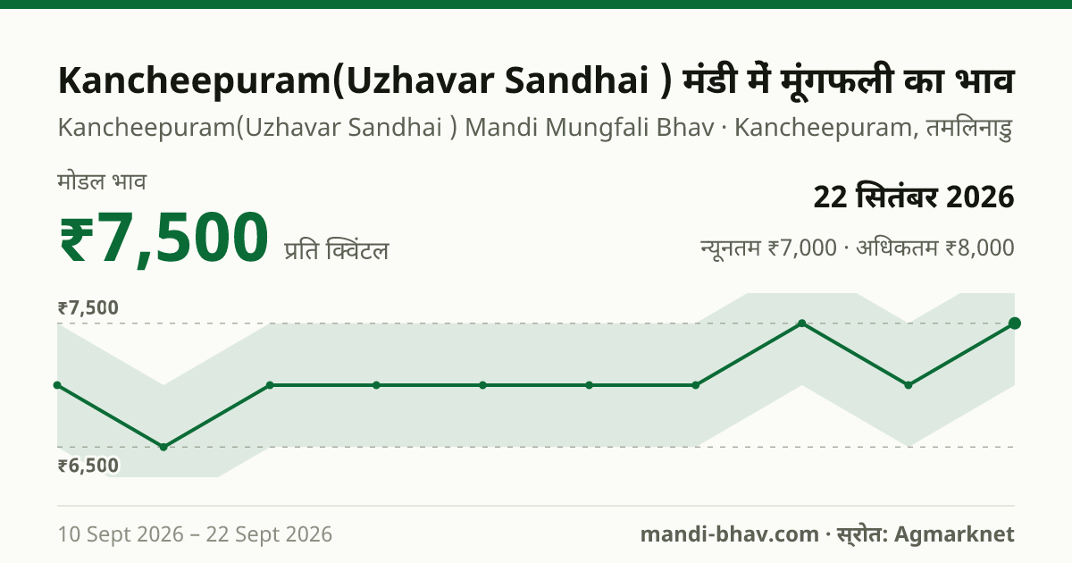 Kancheepuram(Uzhavar Sandhai ) मंडी में मूंगफली का भाव 22 सितंबर 2026: मोडल ₹7,500 प्रति क्विंटल, भाव के रुझान का चार्ट