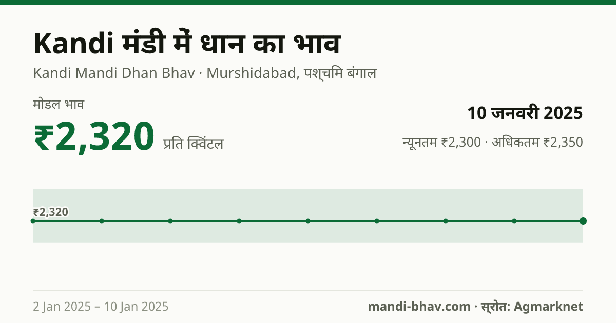 Kandi मंडी में धान का भाव 10 जनवरी 2025: मोडल ₹2,320 प्रति क्विंटल, भाव के रुझान का चार्ट
