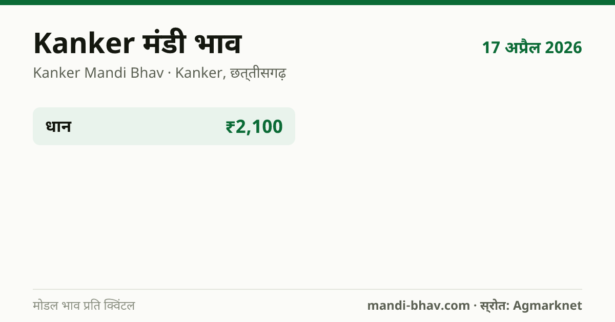 Kanker मंडी भाव 17 अप्रैल 2026: फसलवार मोडल रेट प्रति क्विंटल
