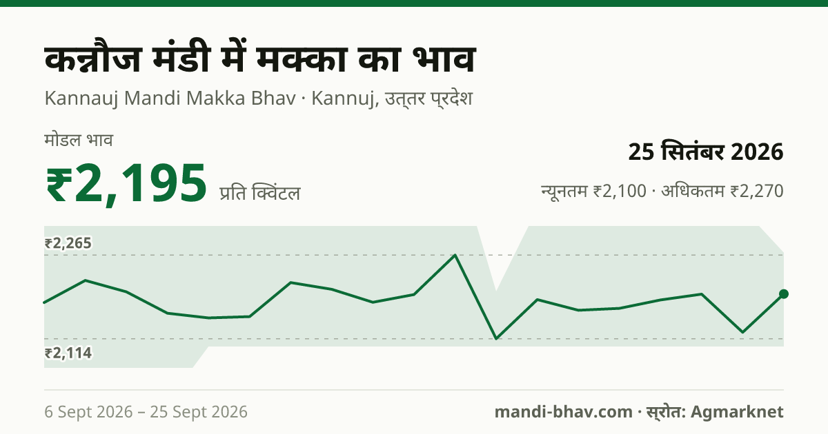 कन्नौज मंडी में मक्का का भाव 25 सितंबर 2026: मोडल ₹2,195 प्रति क्विंटल, भाव के रुझान का चार्ट