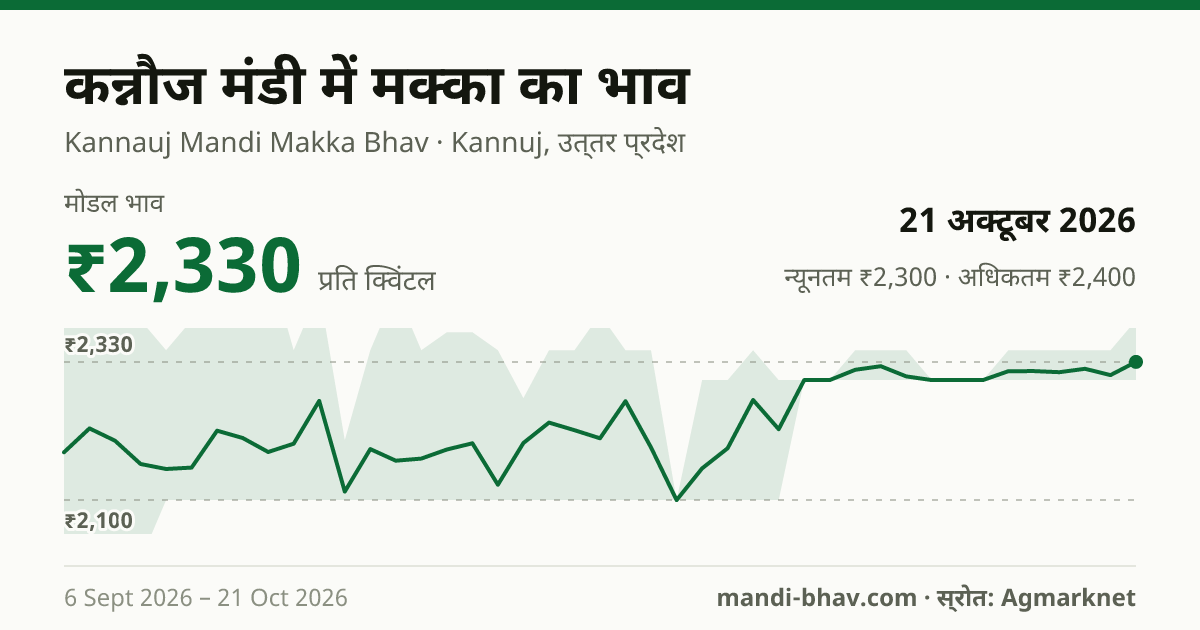 कन्नौज मंडी में मक्का का भाव 21 अक्टूबर 2026: मोडल ₹2,330 प्रति क्विंटल, भाव के रुझान का चार्ट