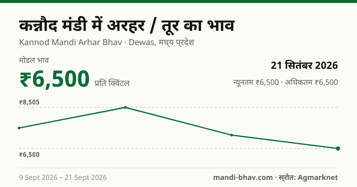 कन्नौद मंडी में अरहर / तूर का भाव 21 सितंबर 2026: मोडल ₹6,500 प्रति क्विंटल, भाव के रुझान का चार्ट