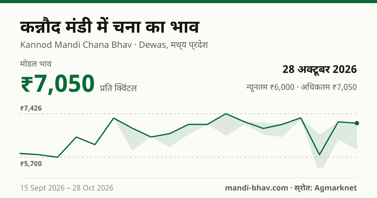 कन्नौद मंडी में चना का भाव 28 अक्टूबर 2026: मोडल ₹7,050 प्रति क्विंटल, भाव के रुझान का चार्ट