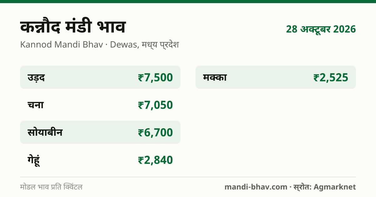 कन्नौद मंडी भाव 28 अक्टूबर 2026: फसलवार मोडल रेट प्रति क्विंटल