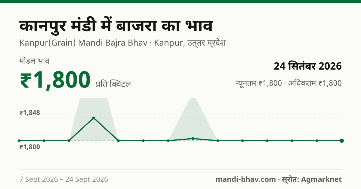 कानपुर मंडी में बाजरा का भाव 24 सितंबर 2026: मोडल ₹1,800 प्रति क्विंटल, भाव के रुझान का चार्ट