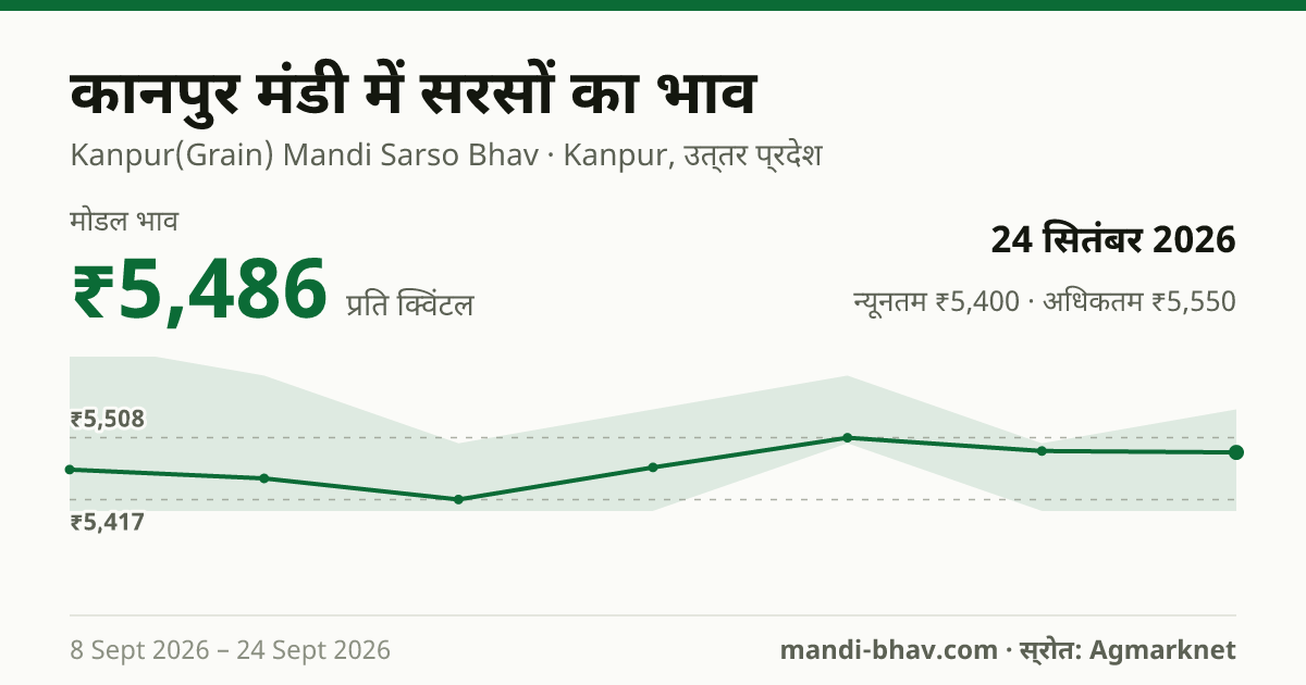 कानपुर मंडी में सरसों का भाव 24 सितंबर 2026: मोडल ₹5,486 प्रति क्विंटल, भाव के रुझान का चार्ट